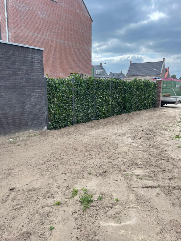kant en klaar haag met betonnen palen